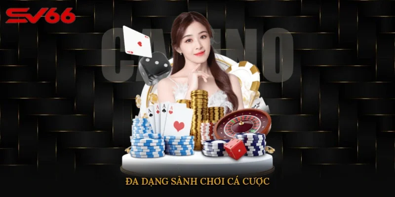 Đa dạng sảnh chơi cá cược