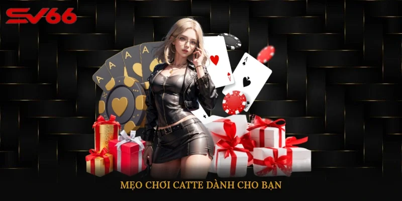 Mẹo chơi Catte dành cho bạn